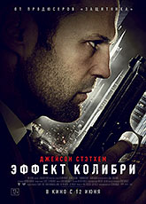 Эффект колибри (2013) [HD 720]