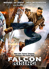 Восхождение Сокола (2014)